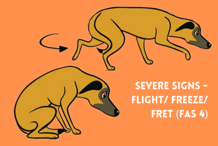 FAS_01.5.png