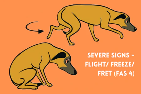 FAS_01.5.png